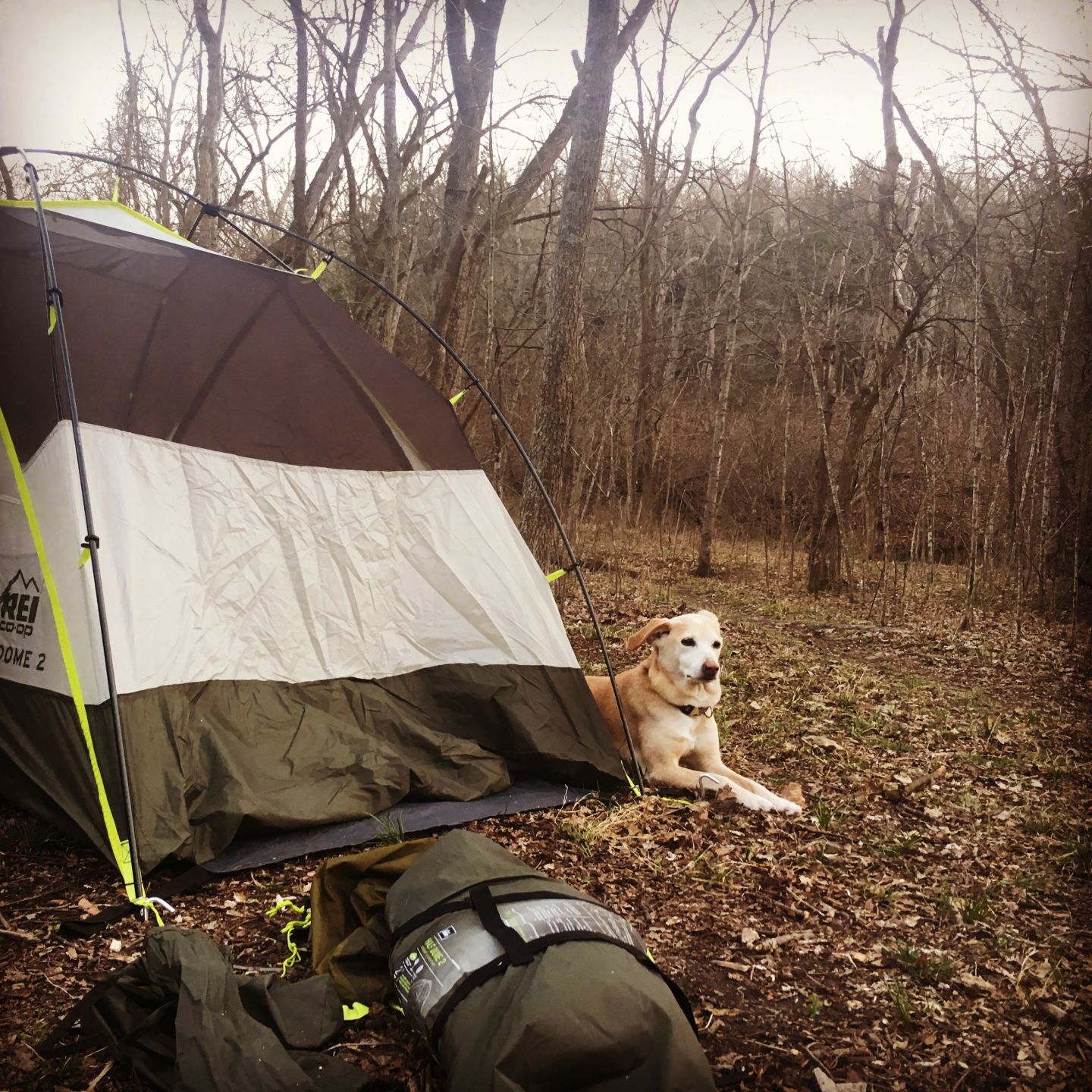 Meramec